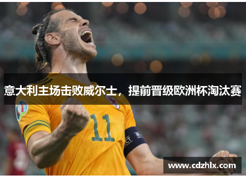 意大利主场击败威尔士，提前晋级欧洲杯淘汰赛
