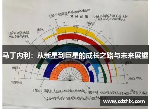 马丁内利：从新星到巨星的成长之路与未来展望