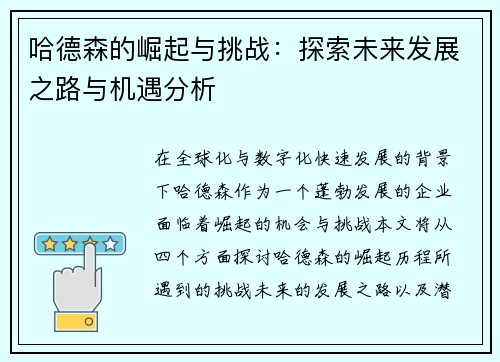 哈德森的崛起与挑战：探索未来发展之路与机遇分析