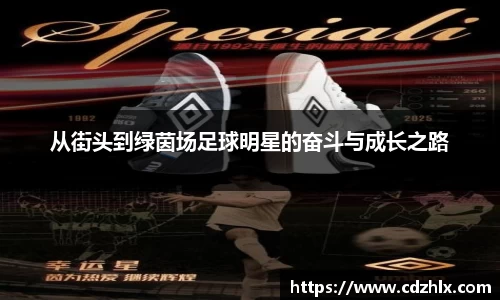 vsport体育
